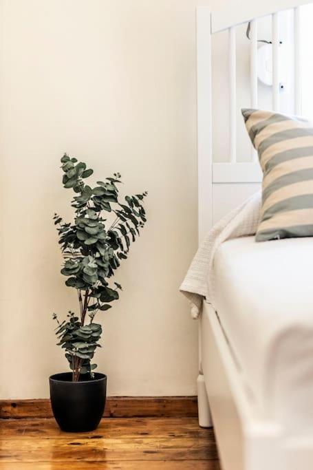 Diana'S Centrally Located Apt@ Old Town Of Corfu Corfu  Extérieur photo